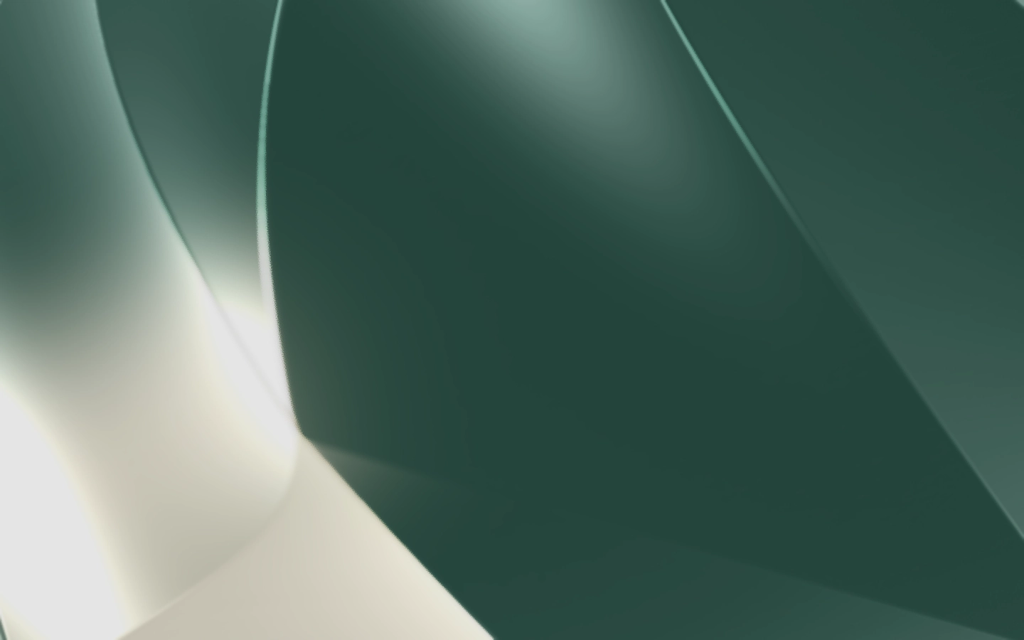 Vera Digital Our Story Founder